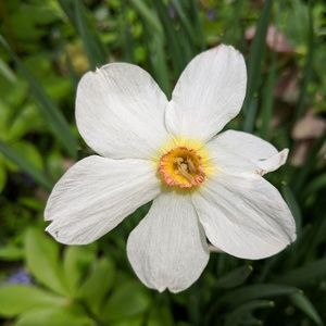 Meet your Posher, Casie